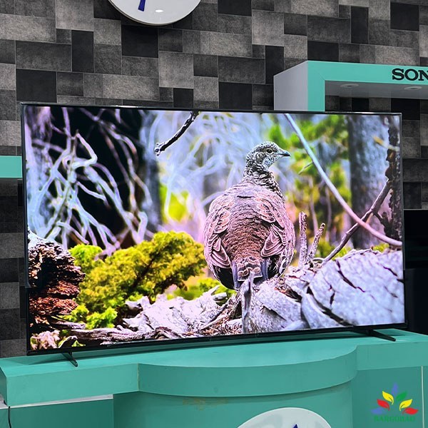 تلویزیون 65 اینچ سونی مدل X90K مالزی